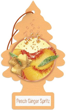 CAR FRESH SINGLE PEACH GINGER SPRITZ Convenience and Grocery Canadian Wholesale Distributor in Montreal Quebec