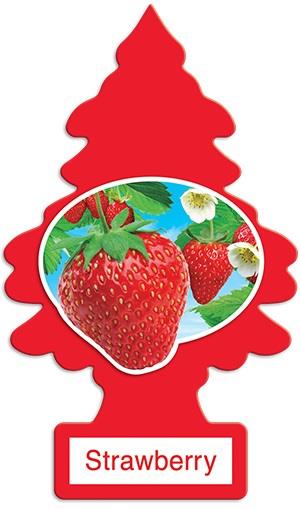 CAR FRESH SINGLE STRAWBERRY Convenience and Grocery Canadian Wholesale Distributor in Montreal Quebec
