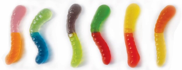 sunrise small gummy worms, dozen flavors, 5 lb, made in Mexico