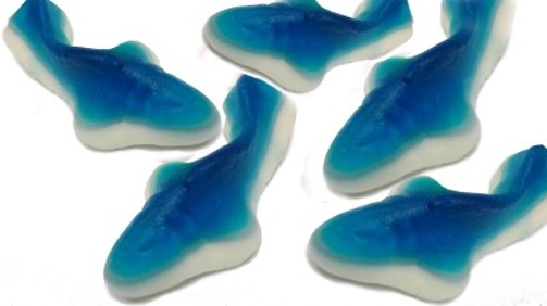 sunrise blue sharks, 5 lb, made in Mexico