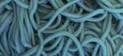 Gustaf's Bulk Laces Blue Raspberry, 2 lb (0.91 kg) bag, made in Netherlands